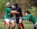 Fotos de momentos graficos -  Foto: rugby pasión del algunos - 