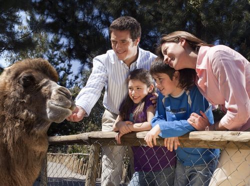 Fotografia de Lobo Digital - Galeria Fotografica: Varios - Foto: 