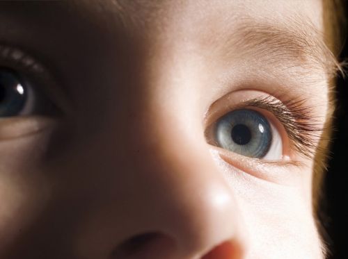 Fotografia de Lobo Digital - Galeria Fotografica: Varios - Foto: 