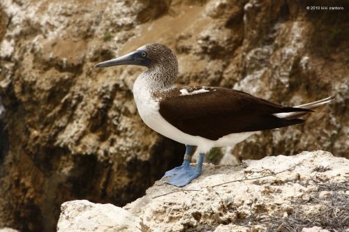 Fotografia de Kiki Santoro - Galeria Fotografica: Ecuador - Foto: Ecuador