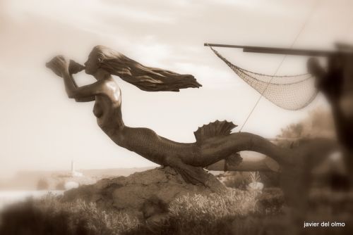 Fotografia de tiri - Galeria Fotografica: sabores de cantabria - Foto: sirena