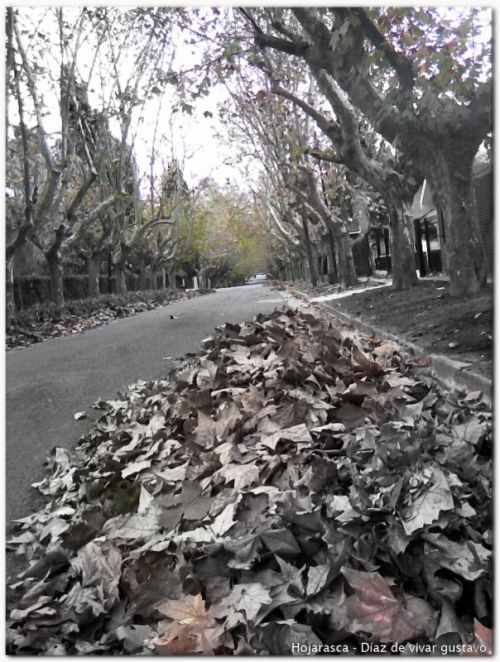 Fotografia de diaz de vivar gustavo - Galeria Fotografica: la realidad no me era suficiente - Foto: 