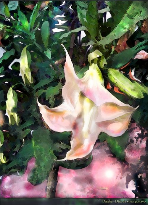 Fotografia de diaz de vivar gustavo - Galeria Fotografica: la realidad no me era suficiente - Foto: 