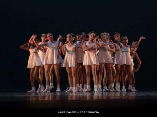 Fotografia de Luis Falcn - Galeria Fotografica: Danza Contempornea - Foto: 