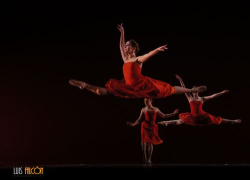 Fotografia de Luis Falcn - Galeria Fotografica: Danza Contempornea - Foto: 