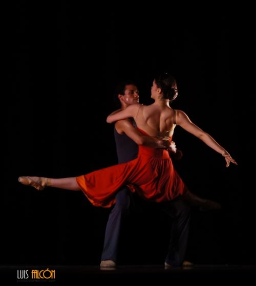 Fotografia de Luis Falcn - Galeria Fotografica: Danza Contempornea - Foto: 