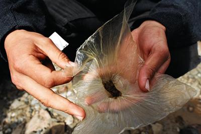 Fotografia de Samuel Rodrguez - Galeria Fotografica: RIF: TERRITORIO AMAZIGH - Foto: 