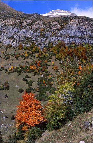 Fotografia de Juanvi Carrasco - Galeria Fotografica: Pirineos - Foto: Valle de Otal 2