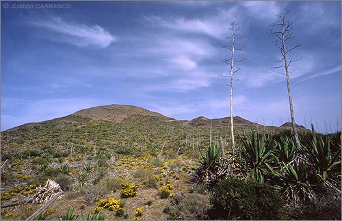 Fotografia de Juanvi Carrasco - Galeria Fotografica: Cabo de Gata - Foto: Cerro del Barronal