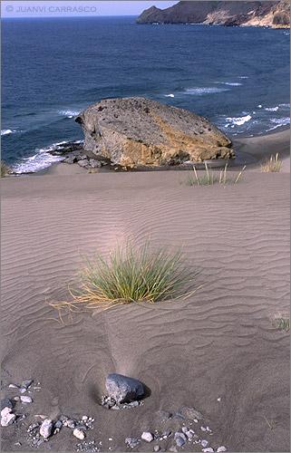 Fotografia de Juanvi Carrasco - Galeria Fotografica: Cabo de Gata - Foto: Mnsul
