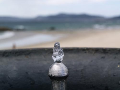 Fotografia de finisterra27 - Galeria Fotografica: mis fotos macro - Foto: pajaro de agua