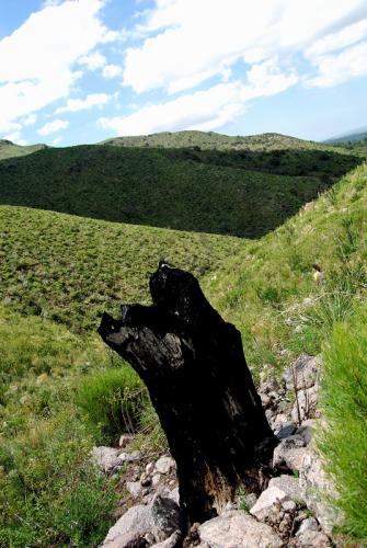 Fotografia de Marcelo Goffi - imagen publicitaria - - Galeria Fotografica: Fotos Marcelo Goffi - Foto: Sierras de Cdoba