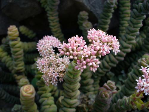 Fotografia de LUIS GERSY GONZALES - Galeria Fotografica: AQUELLOS QUE NO TIENEN VOZ III - Foto: 