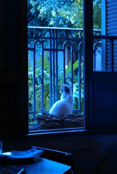 Fotografia de Gustavo  Lucchetti - Galeria Fotografica: Mis Obras - Foto: Observador