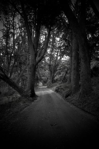 Fotografia de Gustavo  Lucchetti - Galeria Fotografica: Mis Obras - Foto: Puerto Arturo