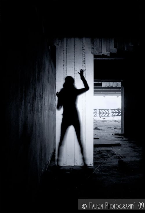 Fotografia de Falken Image - Galeria Fotografica: Trabajos - Foto: 