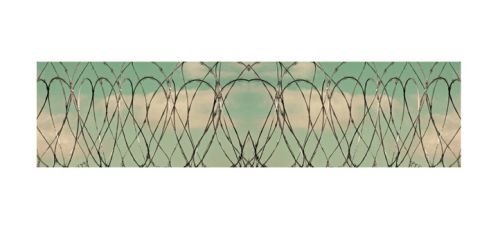 Fotografia de VVVFotografias - Galeria Fotografica: cotidiano #1 - Foto: 