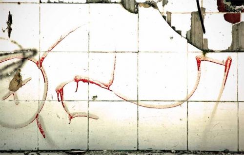 Fotografia de VVVFotografias - Galeria Fotografica: cotidiano #1 - Foto: 