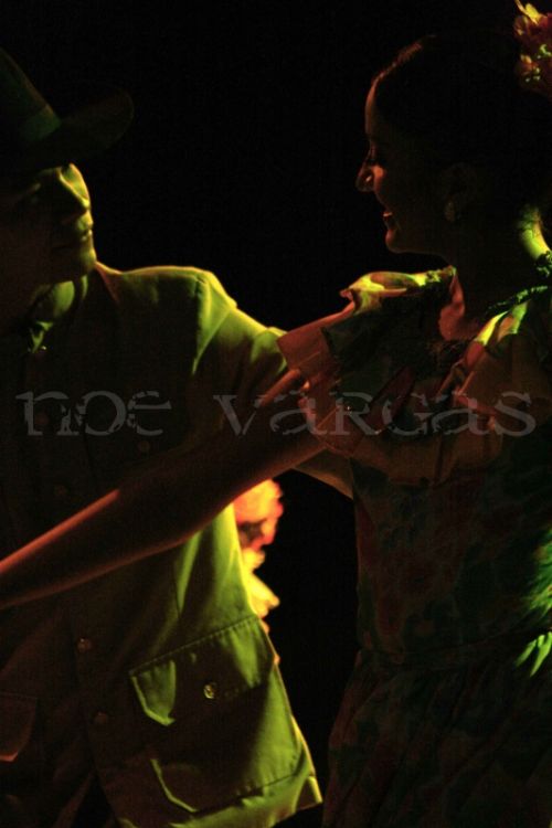 Fotografia de No Vargas - Galeria Fotografica: Folk - Foto: 