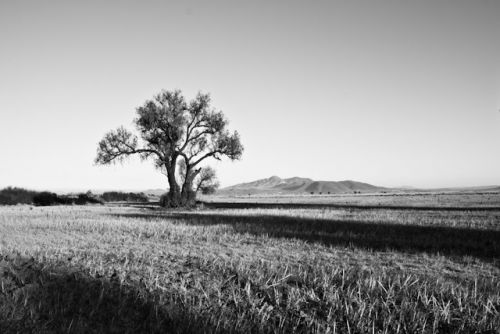 Fotografia de HANS GRIMALDI - Galeria Fotografica: S/Ttulo - Foto: 