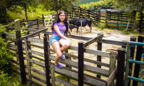 Fotografia de Daboterolon - Galeria Fotografica: Montaa - Foto: 