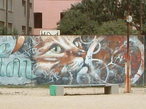 Fotografia de Carina - Galeria Fotografica: Grafitis - Foto: 