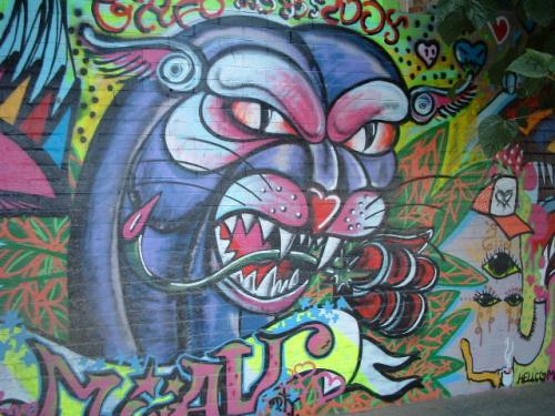 Fotografia de Carina - Galeria Fotografica: Grafitis - Foto: 
