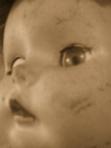 Fotografia de Lissette Gonzalez - Galeria Fotografica: Vejez - Foto: 