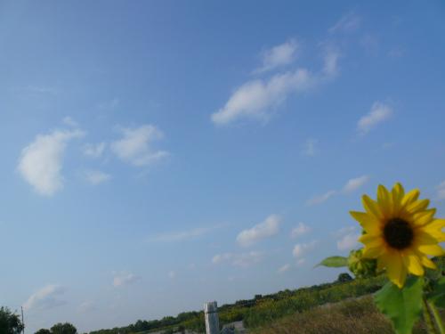 Fotografia de Roberto - Galeria Fotografica: Mis fotos - Foto: Donde estas