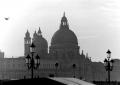 Foto de  diony - Galería: Nostalgia - Fotografía: Venice