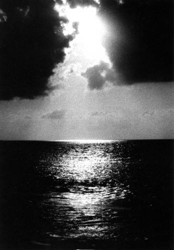 Fotografia de diony - Galeria Fotografica: Nostalgia - Foto: Shine II