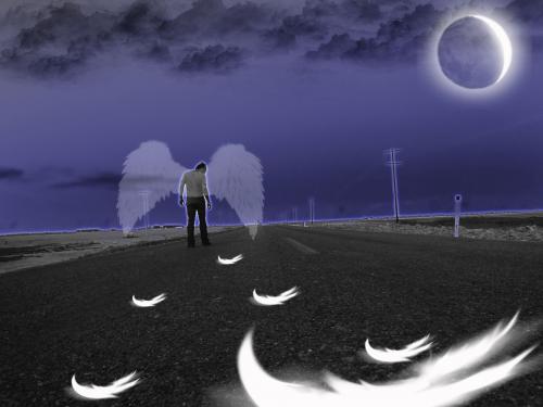 Fotografia de Roberto - Galeria Fotografica: Mis fotos - Foto: Angel de la obscuridad