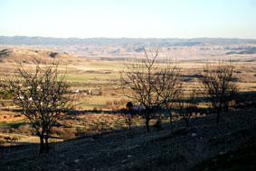 Fotografia de martagalis - Galeria Fotografica: Naturaleza Rural - Foto: Campos