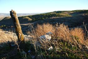 Fotografia de martagalis - Galeria Fotografica: Naturaleza Rural - Foto: Naturaleza viva