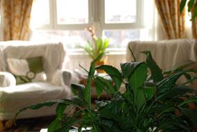 Fotografia de martagalis - Galeria Fotografica: Decoracin de interiores - Foto: Un punto de luz