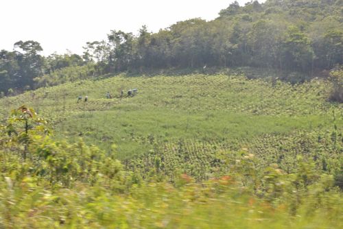 Fotografia de rockomexico - Galeria Fotografica: CASCADAS DE AGUA AZUL, CHIAPAS - Foto: 
