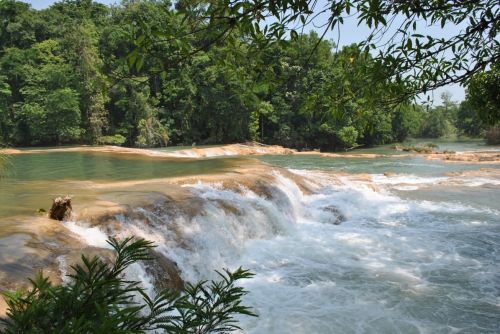 Fotografia de rockomexico - Galeria Fotografica: CASCADAS DE AGUA AZUL, CHIAPAS - Foto: 