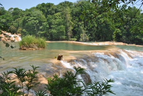 Fotografia de rockomexico - Galeria Fotografica: CASCADAS DE AGUA AZUL, CHIAPAS - Foto: 
