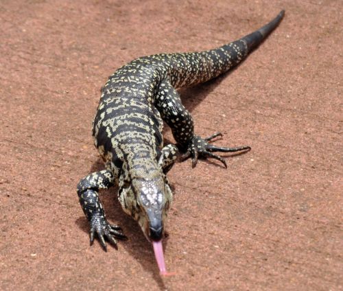 Fotografia de William Park - Galeria Fotografica: Color - Foto: 