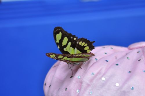 Fotografia de William Park - Galeria Fotografica: Color - Foto: 