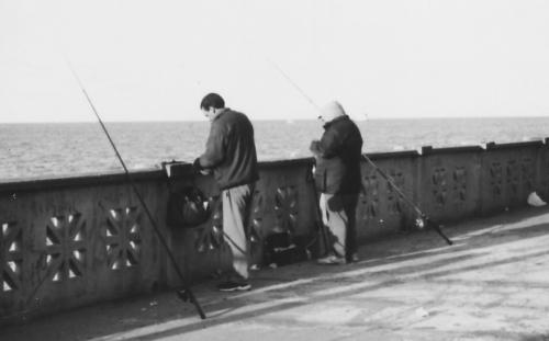 Fotografia de Melita - Galeria Fotografica: Blanco y Negro - Foto: Costanera2