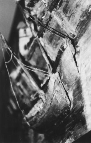 Fotografia de Melita - Galeria Fotografica: Blanco y Negro - Foto: Barquitos