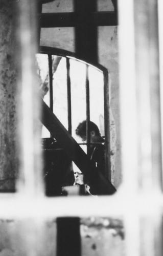 Fotografia de Melita - Galeria Fotografica: Blanco y Negro - Foto: Vieja Calesita1