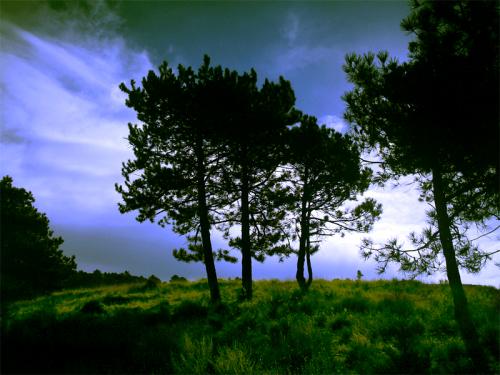 Fotografia de Gsus - Galeria Fotografica: Miradas enfermas - Foto: encuentro