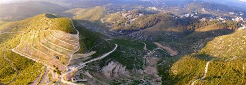 Fotografia de nikoclick - Galeria Fotografica: Viedos - Foto: Viedos 1