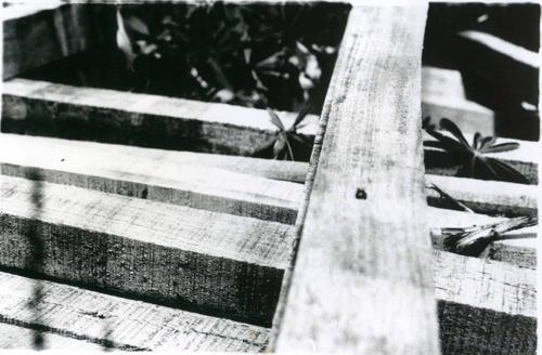 Fotografia de AKIRA FILMS - Galeria Fotografica: NGULOS Y SOMBRAS - Foto: SERENA