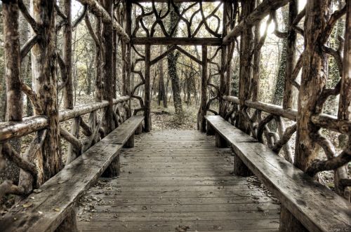 Fotografia de Jorge - Galeria Fotografica: Un poco de todo - Foto: 