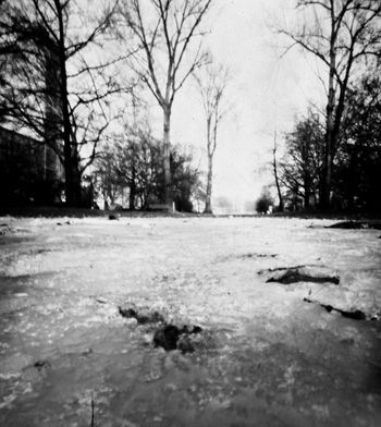 Fotografia de FOTOLATERAS - Galeria Fotografica: BERLIN. CIUDADES ENLATADAS - Foto: hielo en el parque