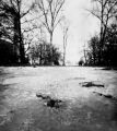 Fotos de FOTOLATERAS -  Foto: BERLIN. CIUDADES ENLATADAS - hielo en el parque