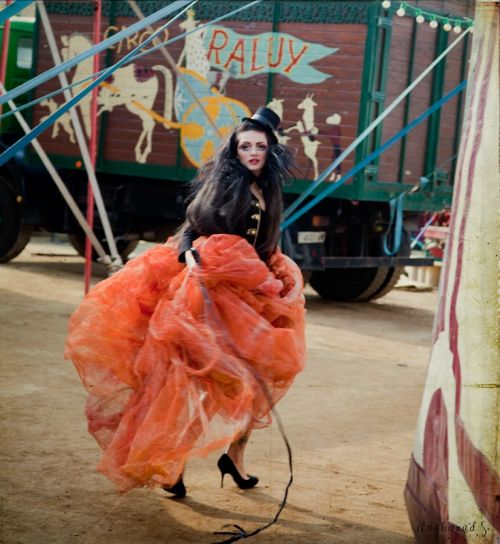 Fotografia de STS - Galeria Fotografica: Behind the lights - Foto: 